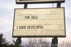 For Sale - 1 Good Developer